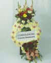 corona americana numero 3
