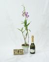elegante y soberbio: una planta de orquidea dendrobium, delicatessen y champagne